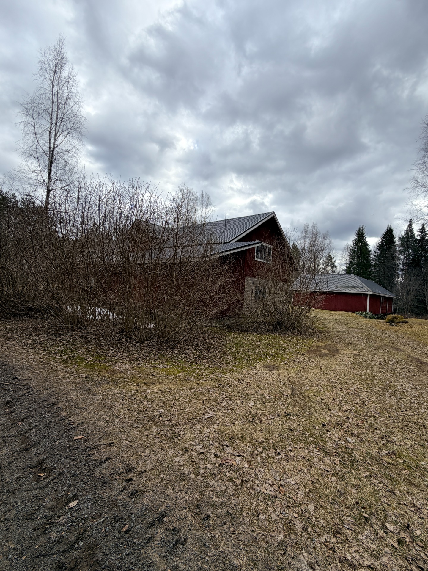 Vanha nylkypaikka (Meikkula),     Kuva 2026